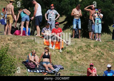 Fans. Hungarian Grand Prix, Friday 24th July 2015. Budapest, Hungary. Stock Photo