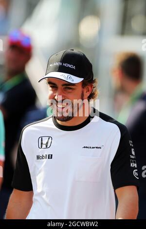 Fernando Alonso (ESP) McLaren. Hungarian Grand Prix, Friday 24th July 2015. Budapest, Hungary. Stock Photo