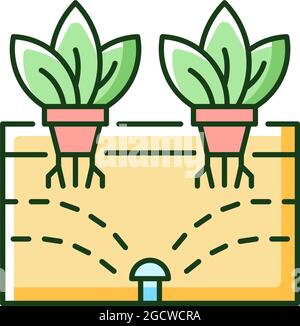 Aeroponics RGB color icon Stock Vector