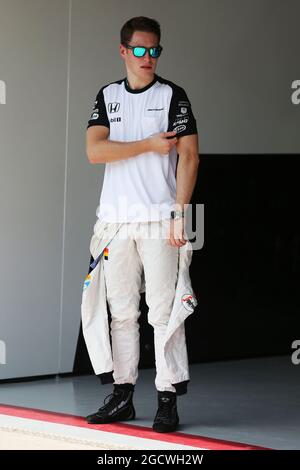 Stoffel Vandoorne (BEL) McLaren Test and Reserve Driver. Brazilian Grand Prix, Thursday 12th November 2015. Sao Paulo, Brazil. Stock Photo