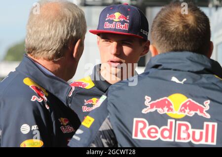 Max Verstappen (NLD) Red Bull Racing RB12. Abu Dhabi Grand Prix, Friday ...