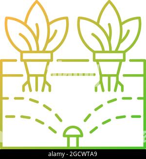 Aeroponics gradient linear vector icon Stock Vector
