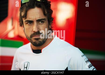 Fernando Alonso (ESP) McLaren. Hungarian Grand Prix, Friday 22nd July 2016. Budapest, Hungary. Stock Photo