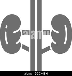 Kidneys, buds, human organ, urology grey icon. Stock Vector