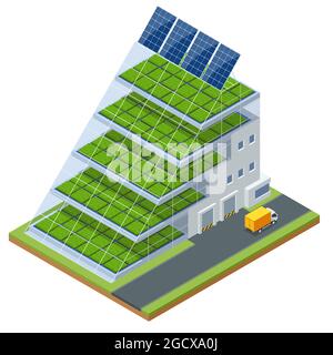 Isometric modern aeroponic hydroponics farm. Future Plant food production. Plant food production in vertically stacked layers. Fresh organic vegetable Stock Vector
