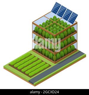 Isometric modern aeroponic hydroponics farm. Future Plant food production. Plant food production in vertically stacked layers. Fresh organic vegetable Stock Vector