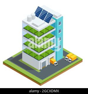 Isometric modern aeroponic hydroponics farm. Future Plant food production. Plant food production in vertically stacked layers. Fresh organic vegetable Stock Vector