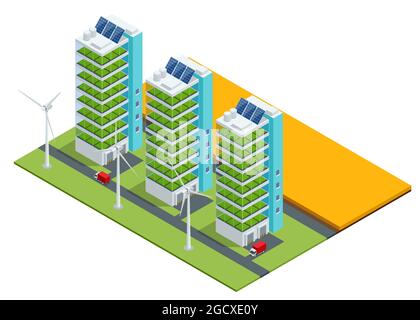 Isometric modern aeroponic hydroponics farm. Future Plant food production. Plant food production in vertically stacked layers. Fresh organic vegetable Stock Vector