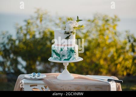 Table with wedding cake in countryside Stock Photo