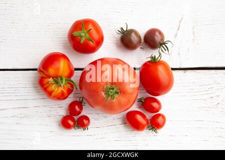 Above view or group of different shape, size and color tomatoes in row, copy space on white brown background. Stock Photo