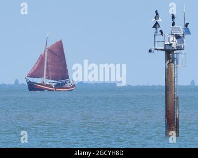 Sheerness, Kent, UK. 10th August, 2021. UK Weather: a sunny afternoon in Sheerness, Kent. Credit: James Bell/Alamy Live News Stock Photo