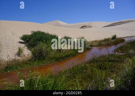 Sand dunes in desert, Giant Sand Dunes, Cape Reinga, Aupouri Peninsula, Far North District, North Island, New Zealand Stock Photo