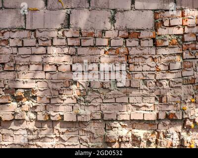 Old textured brick wall covered with pink paint. Stock Photo