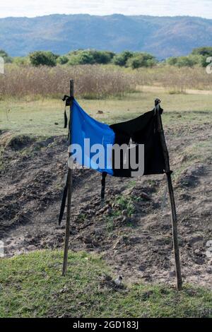 Tseste Fly Target Black and Blue Tsetse fly flag trap in Nkhotakota wildlife reserve ...