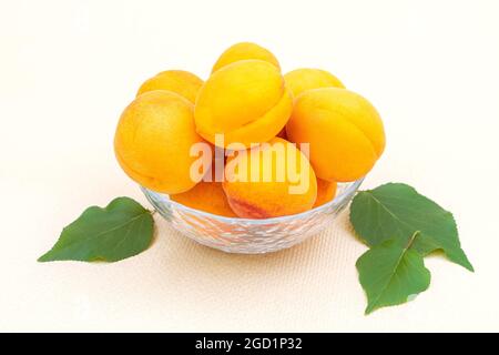 Ripe juicy summer apricots in a transparent plate close-up. Stock Photo