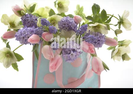 botany, tulips, hiacynth, muscari and hellebores in a bag, ADDITIONAL-RIGHTS-CLEARANCE-INFO-NOT-AVAILABLE Stock Photo
