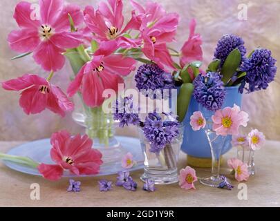 botany, tulips, hyacinth, polyanthus in glass vases, ADDITIONAL-RIGHTS-CLEARANCE-INFO-NOT-AVAILABLE Stock Photo