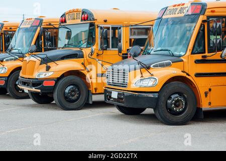 Group of yellow school buses standing in line row in city street outside outdoor. Back to school in September. Education concept. Public transport veh Stock Photo