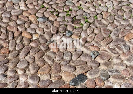 Pebble pavement in Bologna, Italy on a summer day Stock Photo