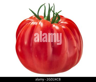 Ribbed heirloom tomato (Solanum lycopersicum fruit), Mushroom Basket variety, with water droplets, isolated Stock Photo