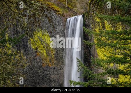 Latourell Falls in Guy Talbot State Park, Columbia River Gorge National Scenic Area, Oregon. Stock Photo