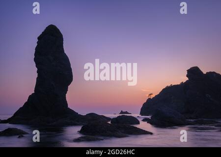 Sea stacks at Shi Shi Beach and Point of Arches in Olympic National Park on the Washington coast. Stock Photo