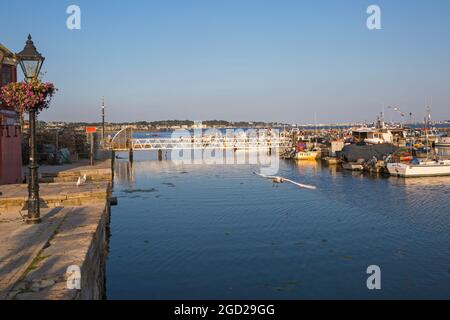 Boats moored at Poole Quay at Poole Harbour, Poole, Dorset UK on a warm sunny evening  in July Stock Photo