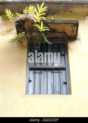 Old window with bars and blinds in an old fort in Texas Stock Photo - Alamy