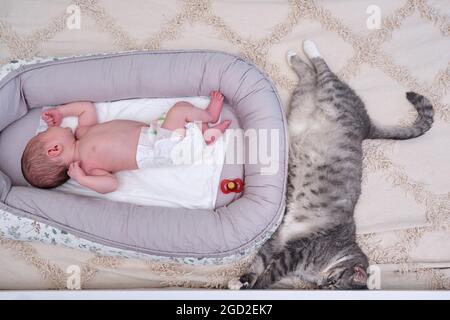 A large gray cat next to a newborn baby to a cocoon on the crib