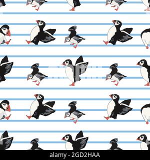 Vector white background ocean seabird, arctic birds, puffins. Seamless pattern background Stock Vector