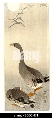 Ohara Koson artwork entitled Two Geese Stock Photo