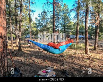 A thru-hiker sleeping in his hammock, Arizona Trail, Arizona, USA Stock Photo