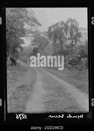 1930s Uganda.  From Hoima to Fort Portal. Scene along Fort Portal Road, an adult walking away from camera carrying goods on their head and a child in the road ca. 1936 Stock Photo