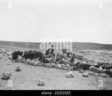 Men and children at the excavations at Tell Beit Mirsim (Kirjath-Sepher) The Nether Spring ca. 1926 Stock Photo