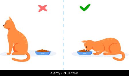 Cats with good and bad appetite. Picky cat refusing to eat and hungry cat eating food in bowl. Feeding pet problem concept. Flat style vector Stock Vector