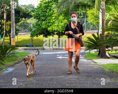 Happy Dog Stares in the Street Walking with her Dog Walker Stock Photo