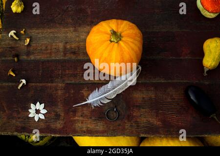 Autumn frame Composition and layout made of colorful one pumpkin centered, mushrooms Aged old retro red background. Bright, colorful. Harvest festival Stock Photo