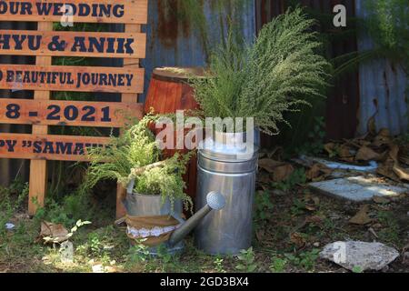 wooden cans and barrels for wedding and party decorations with rustic themes, and romantic and artistic shabby chic. Stock Photo