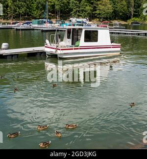 Boat Rental, The Kinzua Wolf Run Marina