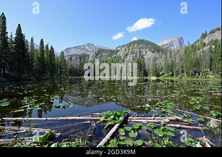 Nymph Lake in Rocky Mountain National Park, Colorado on calm sunny summer morning.. Stock Photo