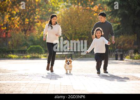 Happy young family and pet dog in park Stock Photo