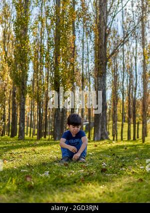 Brunette child sitting on the grass looking down on a forest on an autumn afternoon. Trees background, blurred. vertical Stock Photo