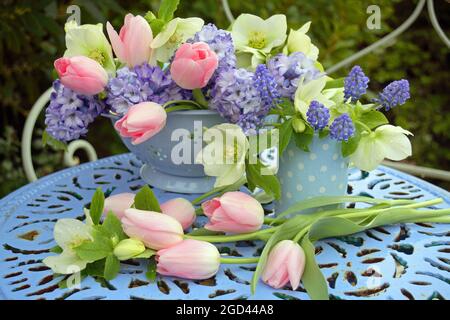 botany, tulips, muscari, hyacinth and hellebores still life, ADDITIONAL-RIGHTS-CLEARANCE-INFO-NOT-AVAILABLE Stock Photo
