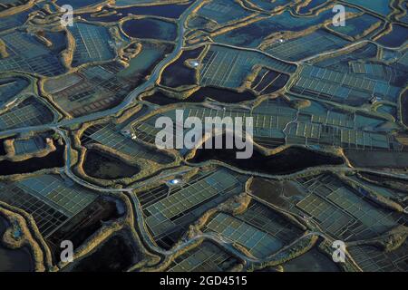 FRANCE, LOIRE ATLANTIQUE(44),  GUERANDE, AERIAL VIEW OVER THE SALT MARSHES, BRITTANY Stock Photo