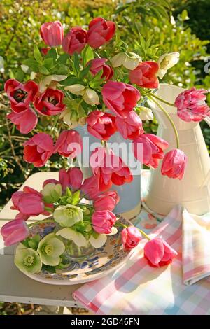 botany, tulips and hellebores in a blue metal container and in a vase on a table in the garden, ADDITIONAL-RIGHTS-CLEARANCE-INFO-NOT-AVAILABLE Stock Photo
