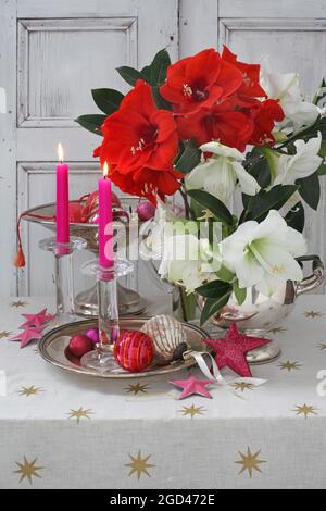 botany, Christmas still life with white and red amaryllis, candles, baubles and stars., ADDITIONAL-RIGHTS-CLEARANCE-INFO-NOT-AVAILABLE Stock Photo