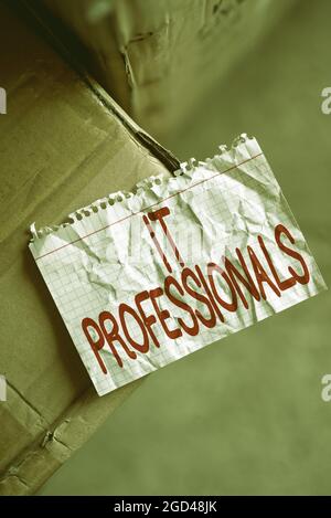 Writing displaying text It Professionals. Word Written on any person associatedand expert with the computer world Thinking New Bright Ideas Renewing Stock Photo