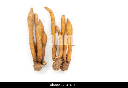 Top view two shapes of whole fresh finger roots or galingale on white background. Top view image of herb plant Finger Root or Krachai in Thailand lang Stock Photo