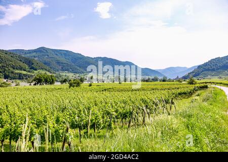 geography / travel, Austria, Lower Austria, Wachau, view with St. Michael, ADDITIONAL-RIGHTS-CLEARANCE-INFO-NOT-AVAILABLE Stock Photo