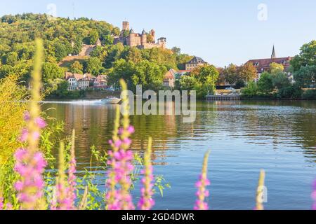 geography / travel, Germany, Baden-Wuerttemberg, Wertheim, Wertheim Castle at Main, ADDITIONAL-RIGHTS-CLEARANCE-INFO-NOT-AVAILABLE Stock Photo